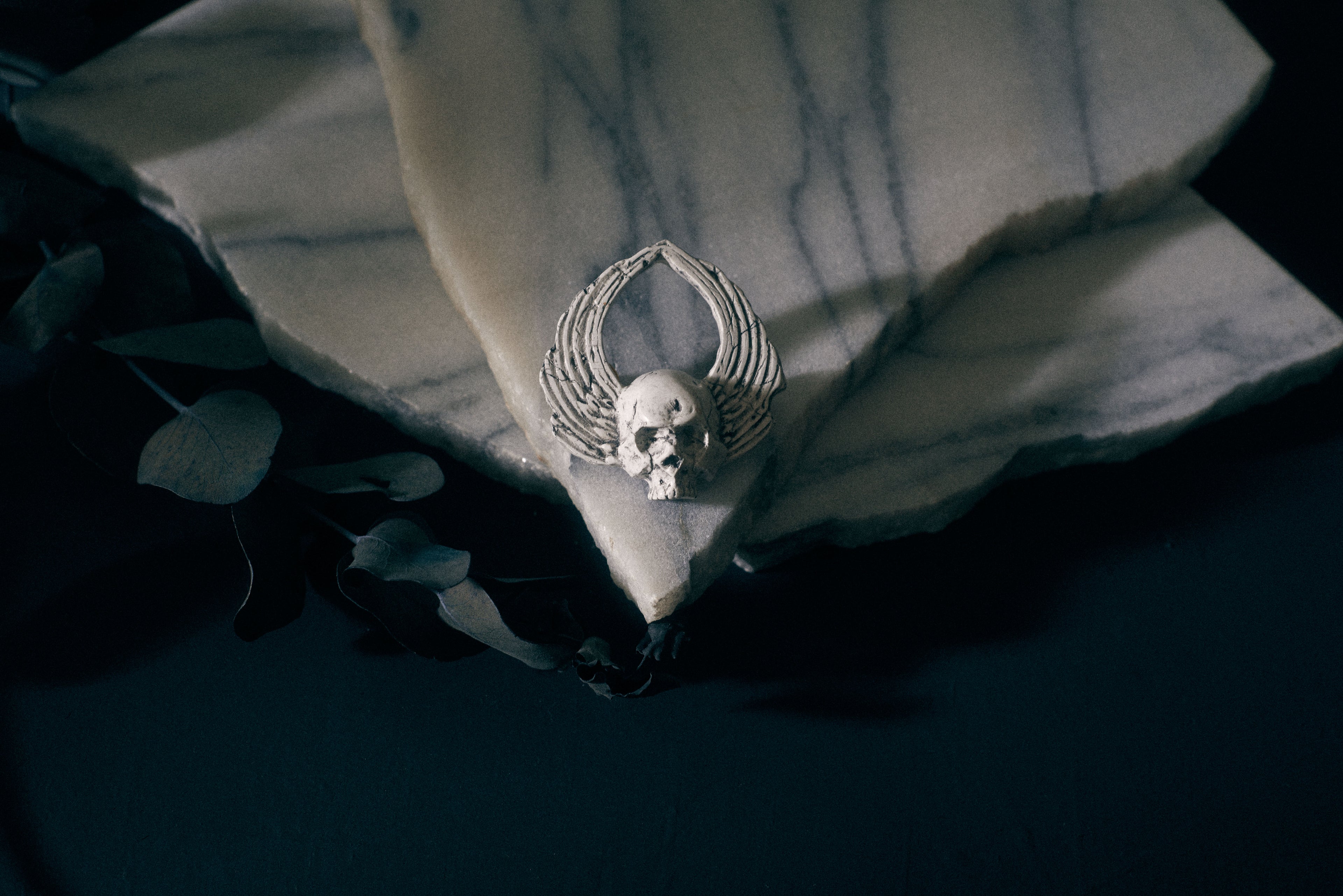 Winged Skull Pin