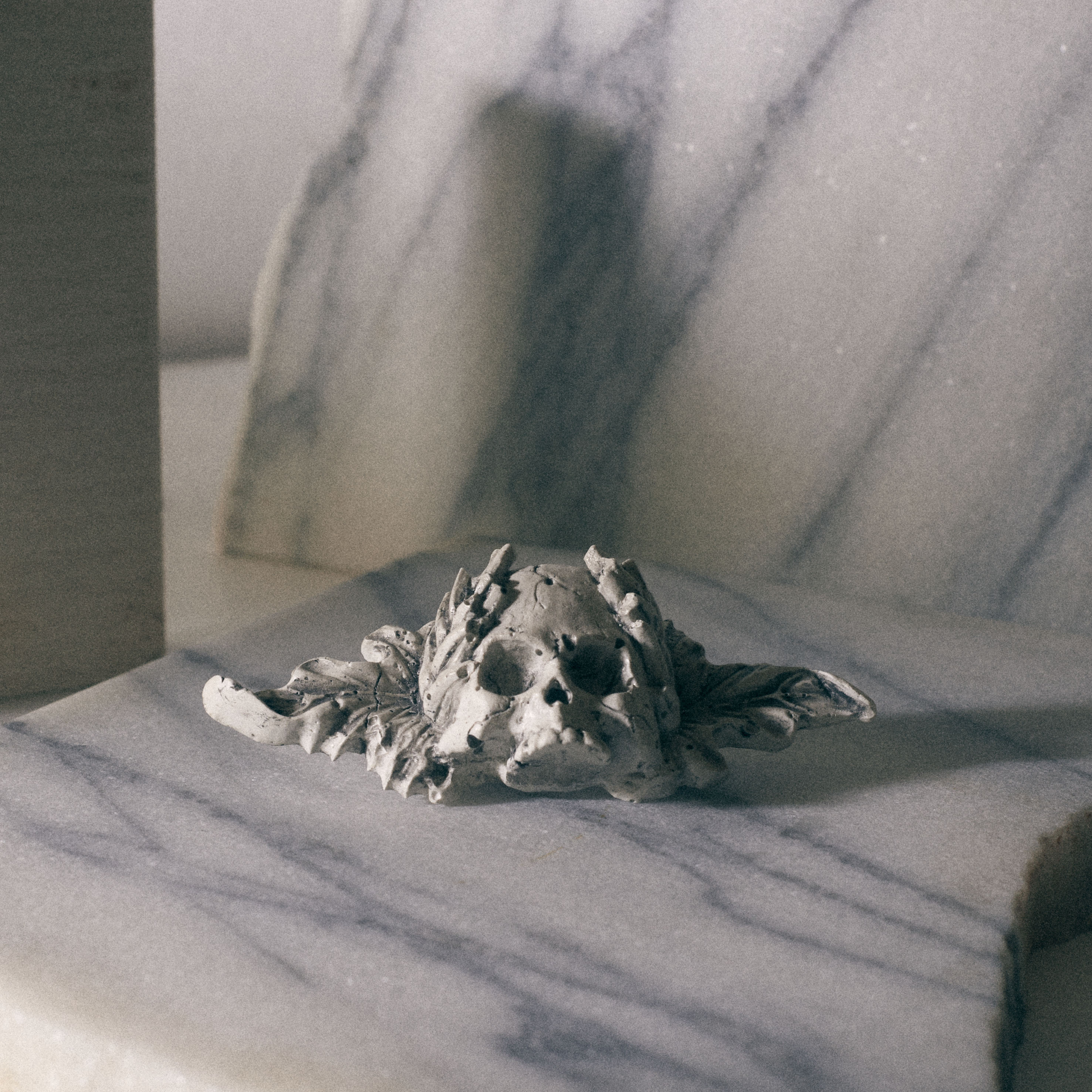 Decay Skull and Leaves brooch